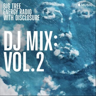 Big Tree Energy Radio, Vol. 2 (DJ Mix)