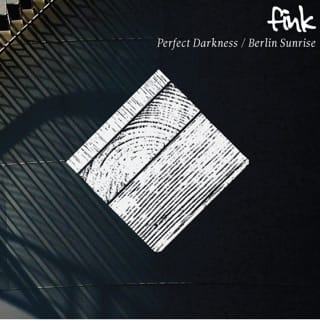 Perfect Darkness