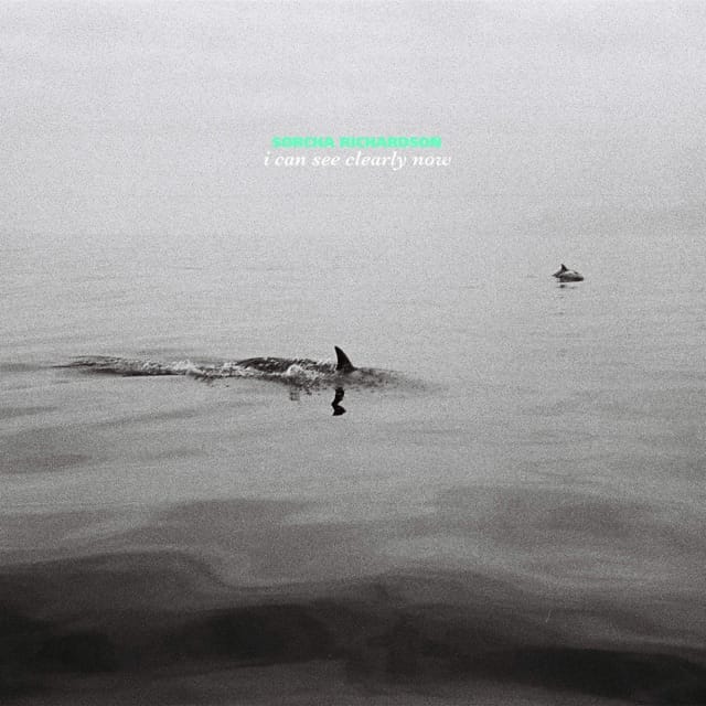 I Can See Clearly Now - Single