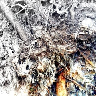 Niż - EP