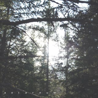 Aeternum