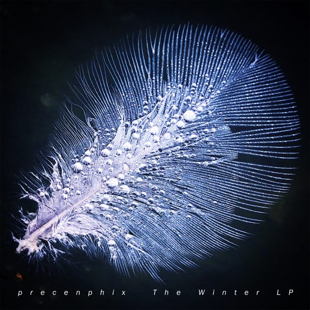 The Winter Lp