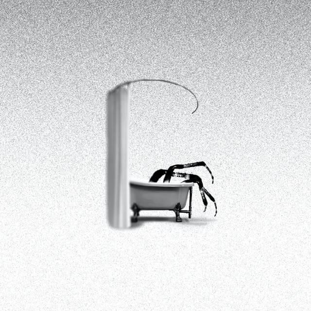 Showering With Spiders - EP