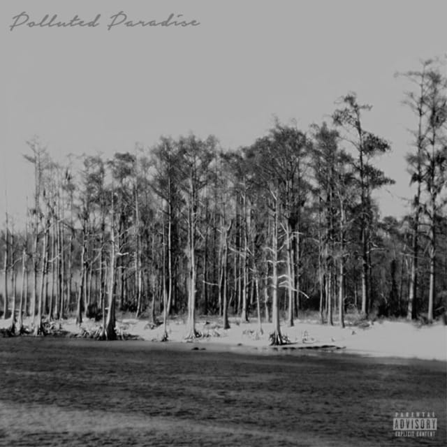 Polluted Paradise - EP