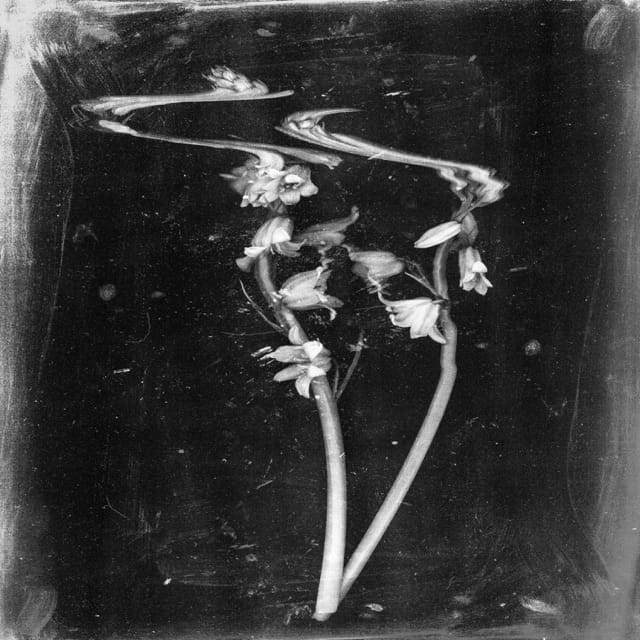 To Lyra - EP