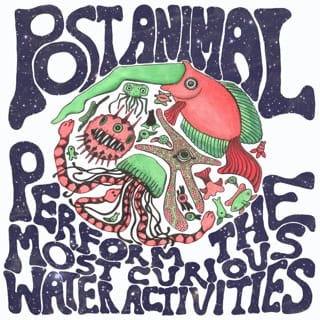 Post Animal Perform the Most Curious Water Activities