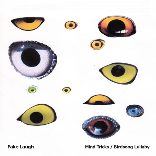 Mind Tricks / Birdsong Lullaby - Single