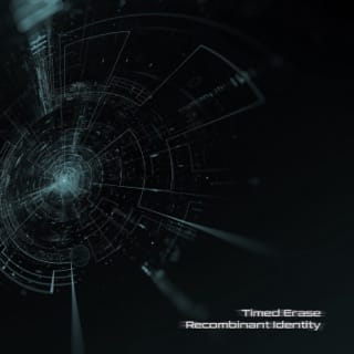 Recombinant Identity - EP