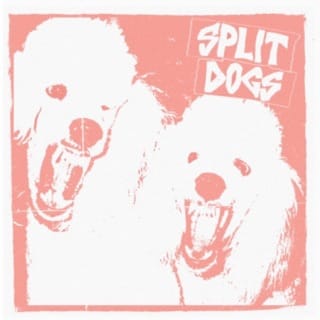 Split Dogs