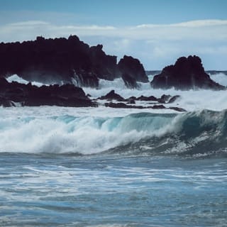 The Waves