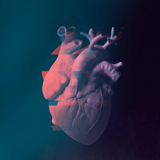 Artificial Heart - Single