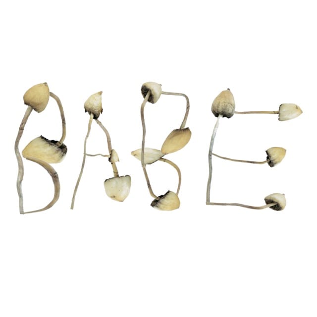 Mushroom - EP