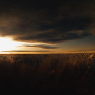 There Is a Place For Me