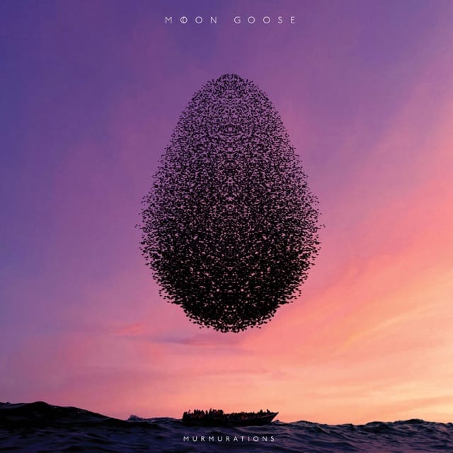 Murmurations