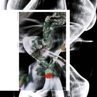 Chaos Swallower - EP