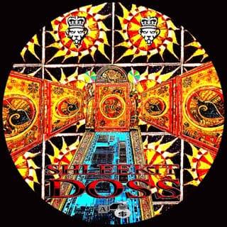 Shleekit Doss - EP