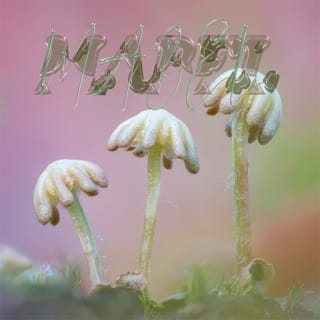 Hybrid - EP