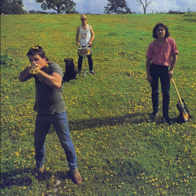 Down on the Farm