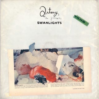 Swanlights