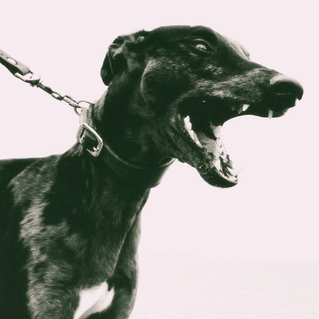 The Snitching Hour - Single