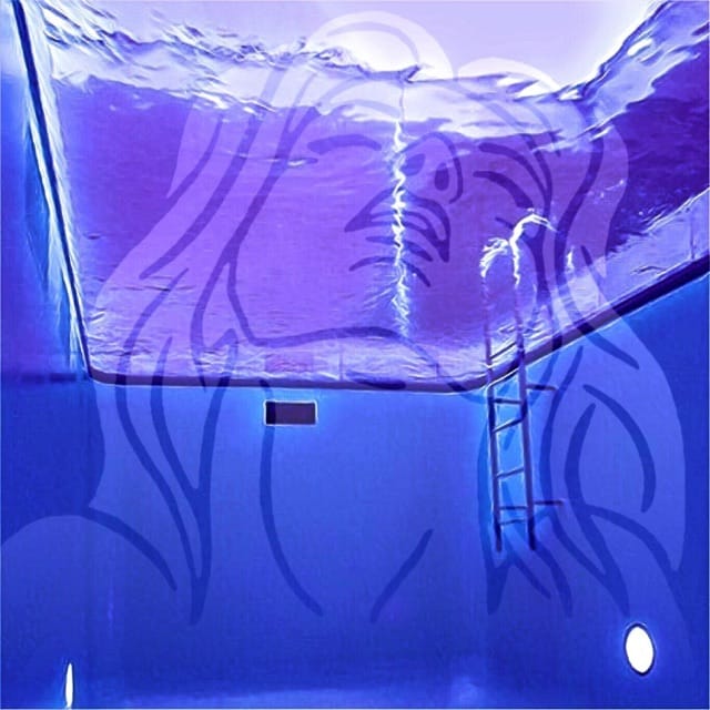 The Grand Scheme - Single