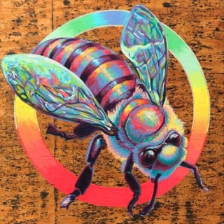 Fundamental Thrive Hive - EP