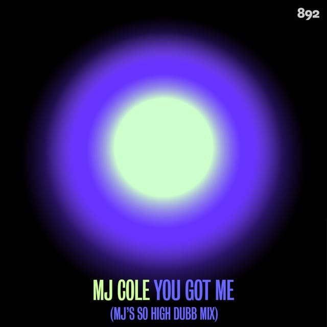You Got Me (MJ's So High Dubb) - Single