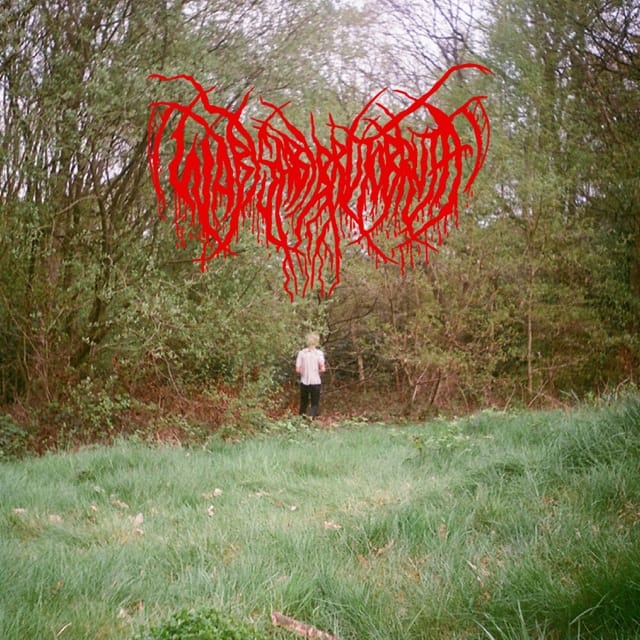 Wabi Sabi Bruto Bruta