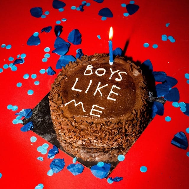 Boys Like Me - Single