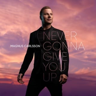 Never Gonna Give You Up - Single