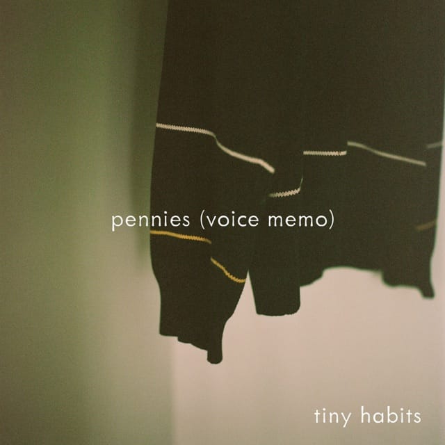 pennies (voice memo) - Single