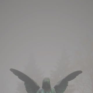 Pity / Piety