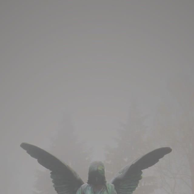 Pity / Piety