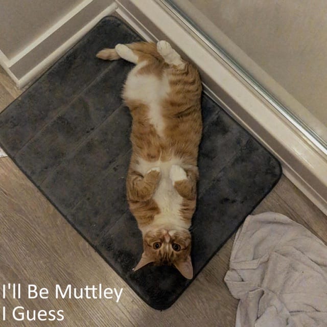 I'll Be Muttley I Guess