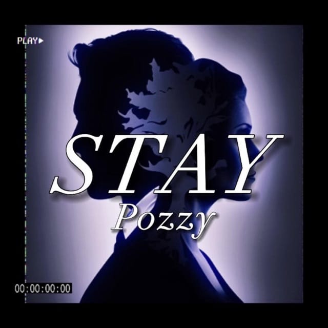Stay - Single