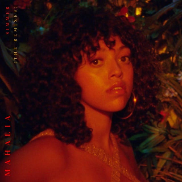 Simmer (The Remixes) - EP