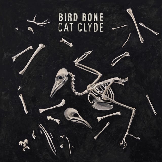 Bird Bone - Single