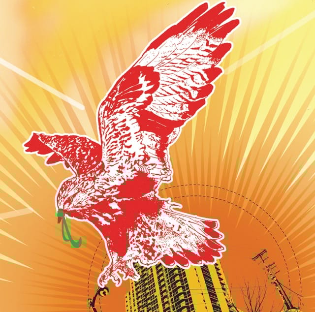 Like You Like an Arsonist