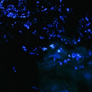 The Coldest Fire - EP