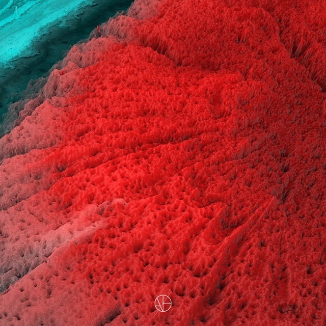 Star Signs - Single