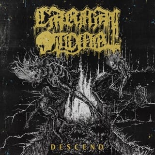 Descend - Single