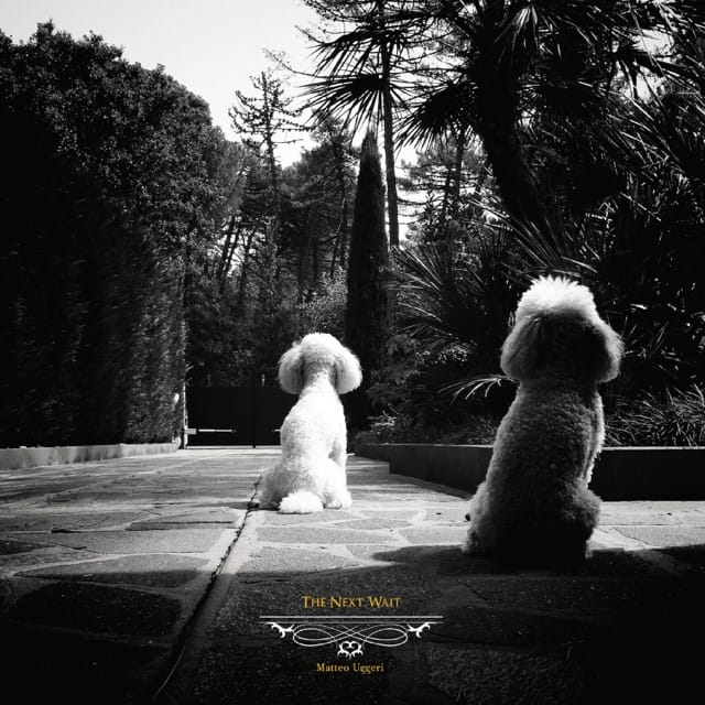 The Next Wait - EP