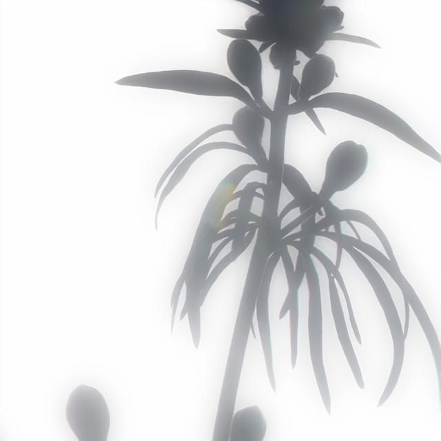 If the Benign Was to Ever Be So Pure - EP