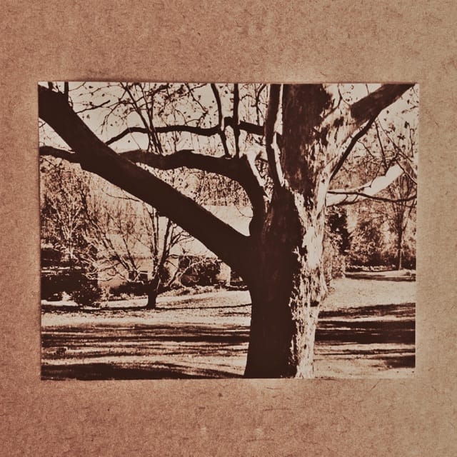 Demo Four