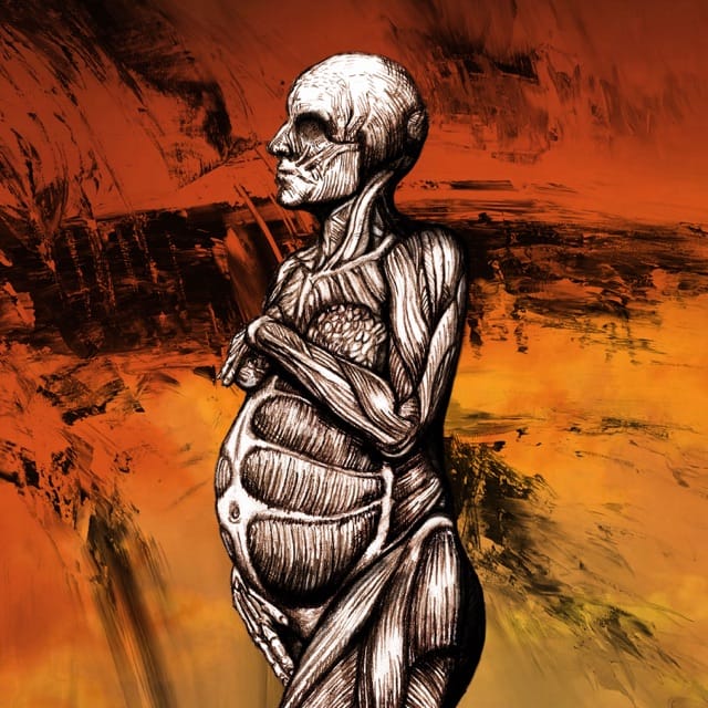 The Host