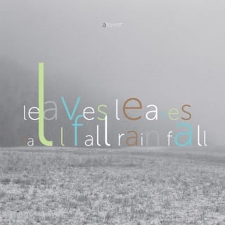 leaves leaves fall fall rain fall