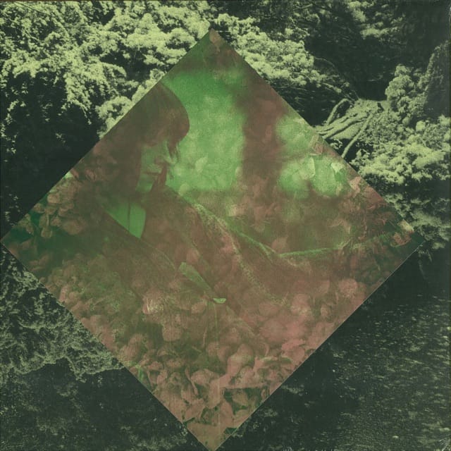 D 4 N