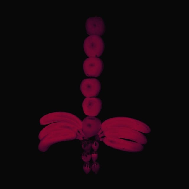 Evolution Made Us - EP
