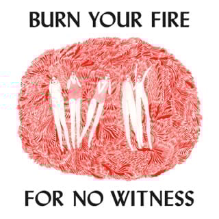 Burn Your Fire for No Witness