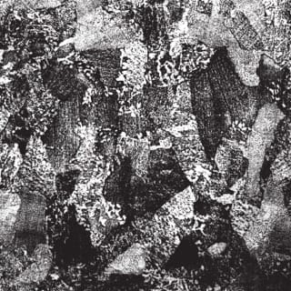 Auditory Trauma: Full of Hell Isolation Sessions (Live)